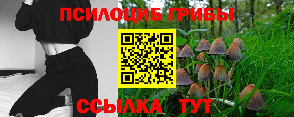 продажа наркотиков  Галлюциногенные грибы ЛСД  Вход с VPN  Черняховск 